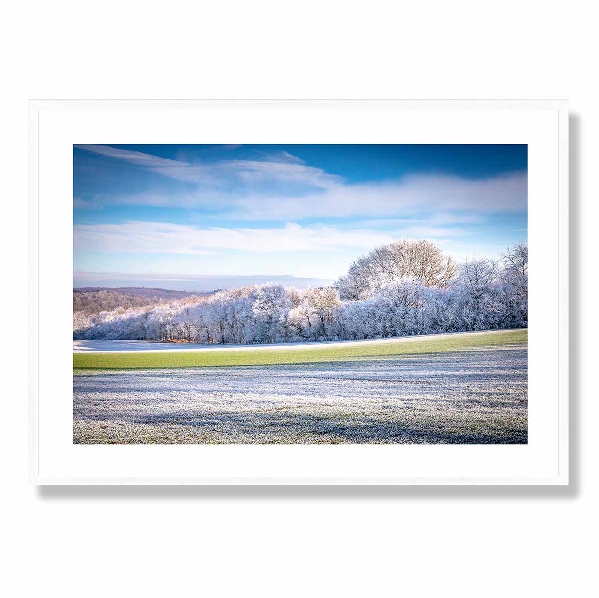 The Frosty Field Art Print