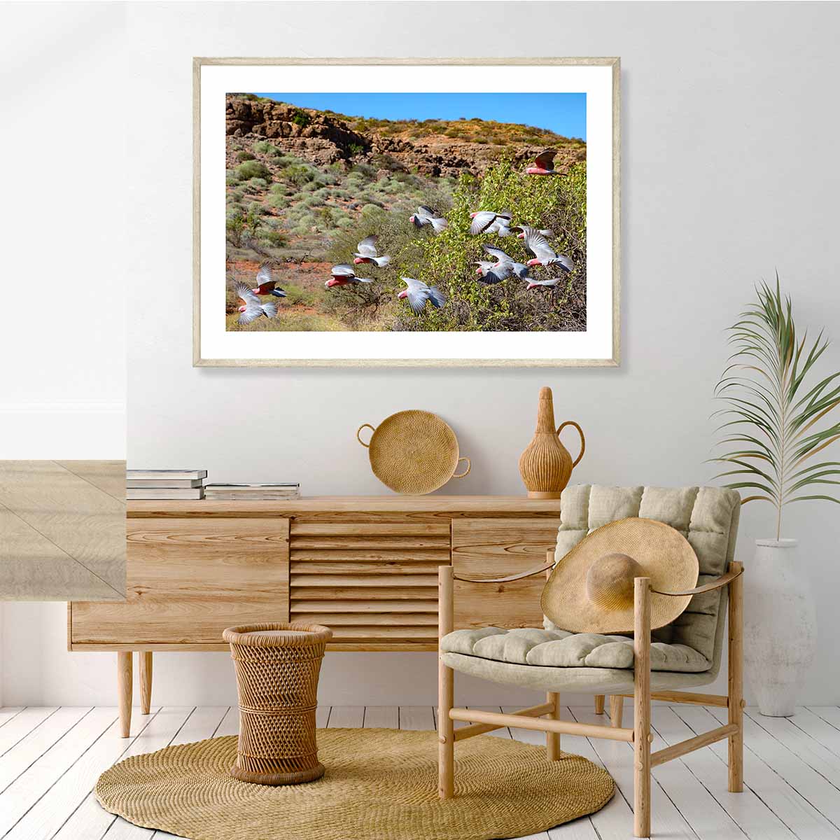 Pink Galahs near Yardie Creek Art Print