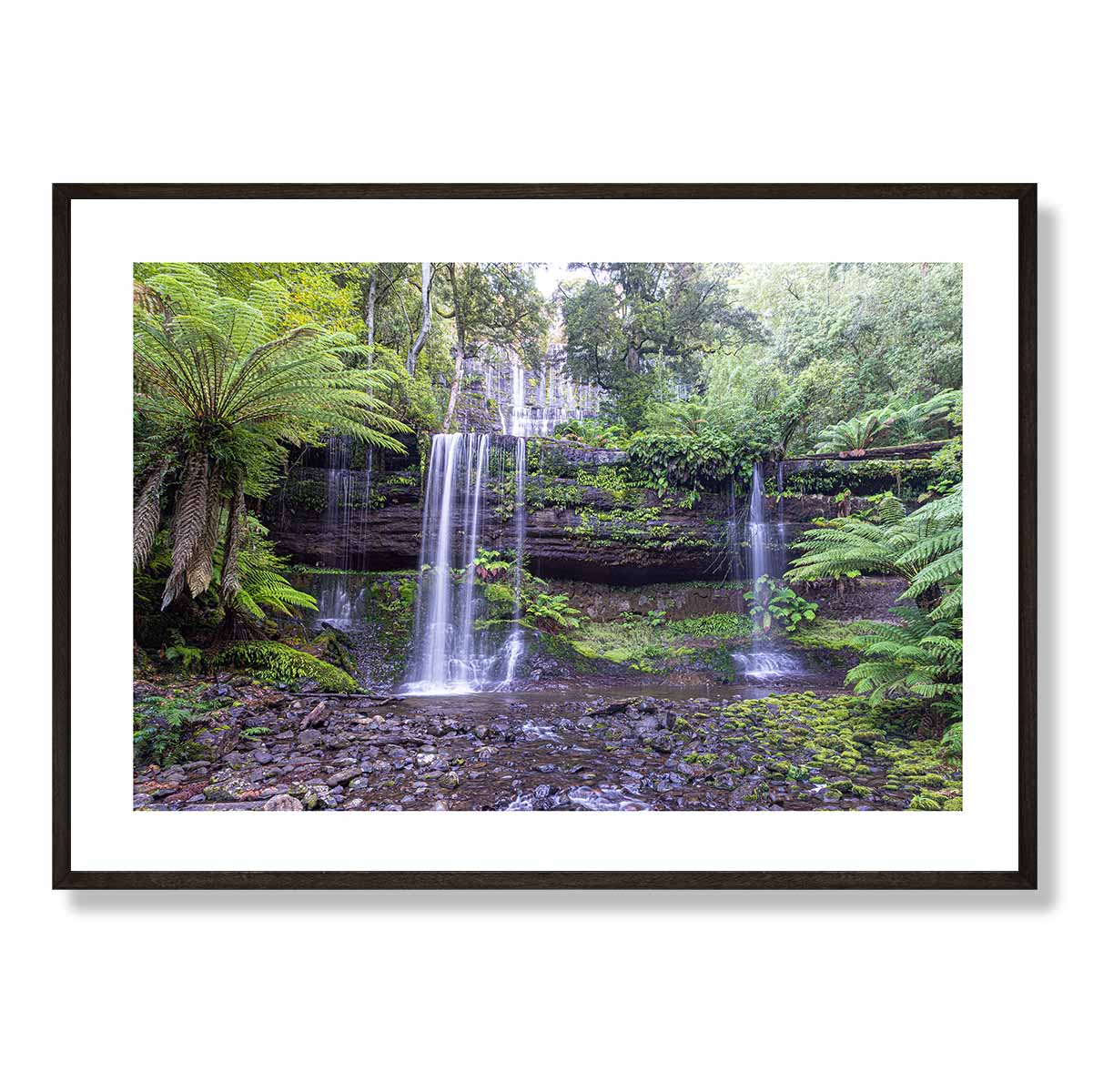 Russell Falls Rainforest Art Print