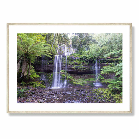 Russell Falls Rainforest Art Print