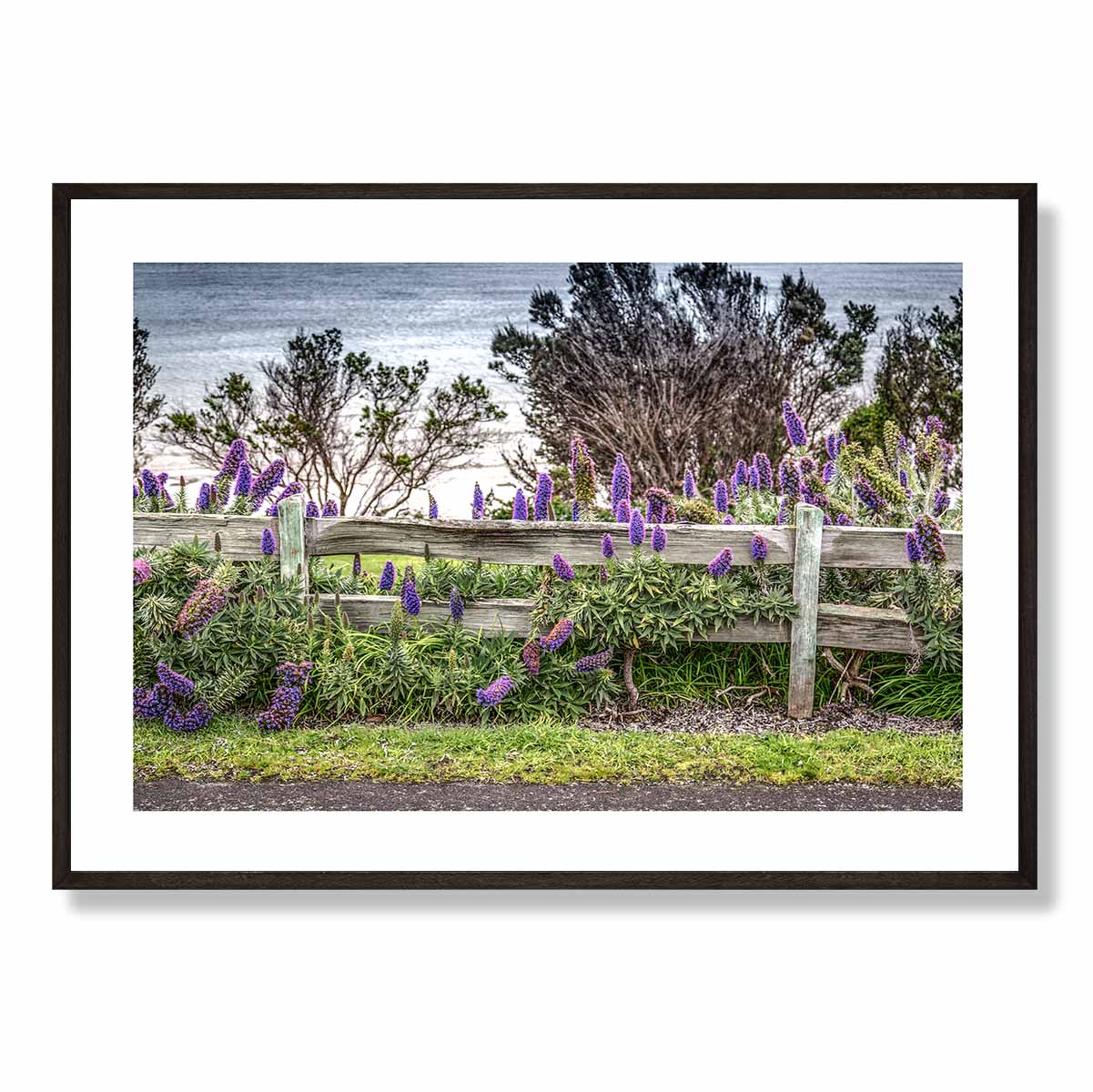 Split Rail Fence with Purple Flowers Art Print
