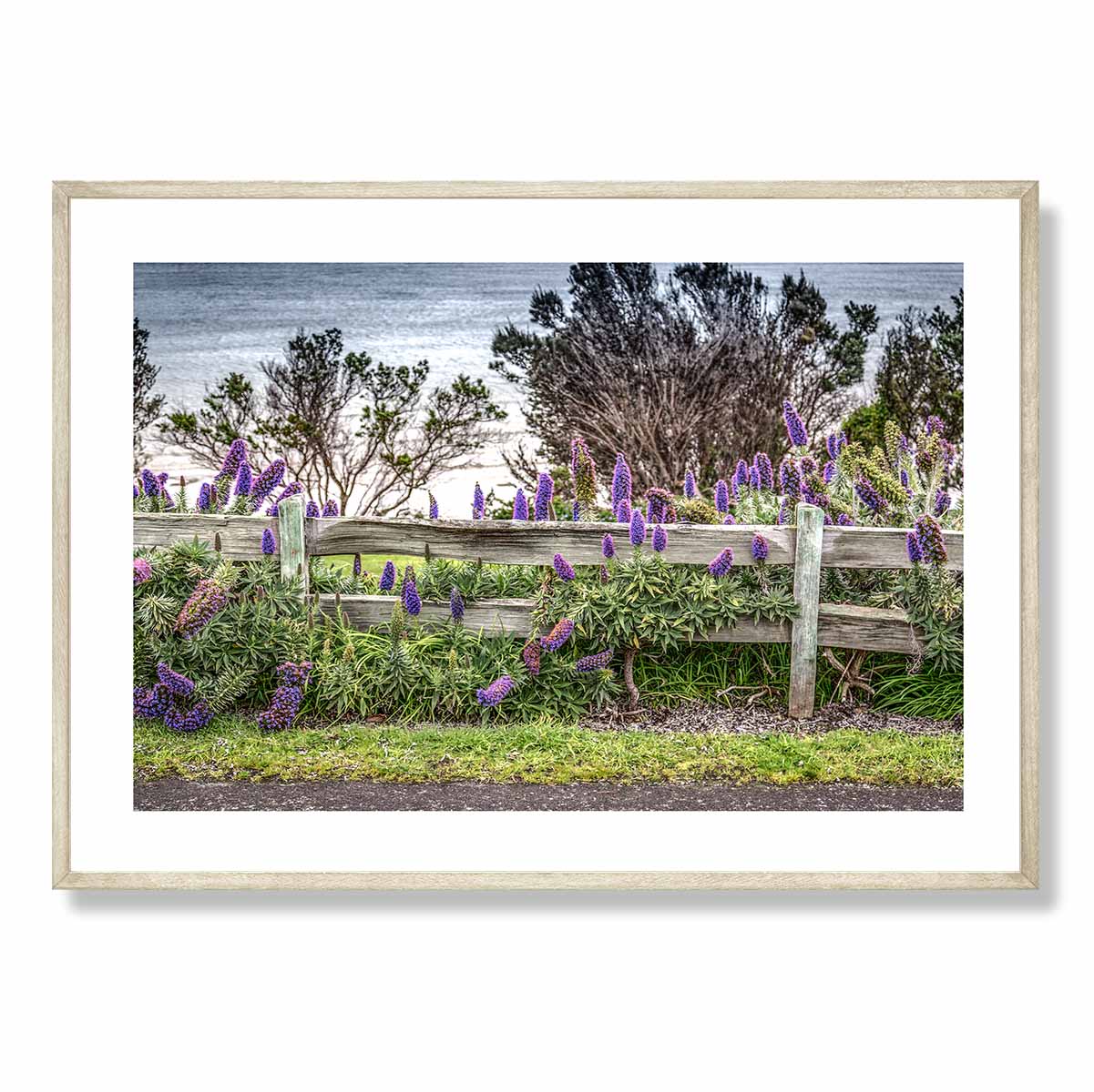 Split Rail Fence with Purple Flowers Art Print