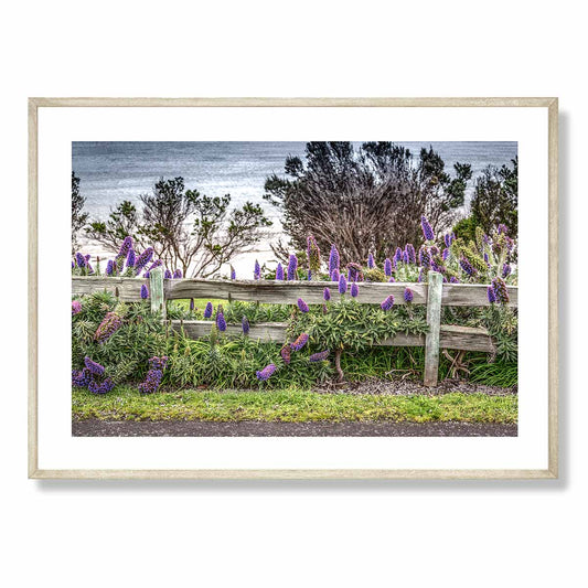 Split Rail Fence with Purple Flowers Art Print
