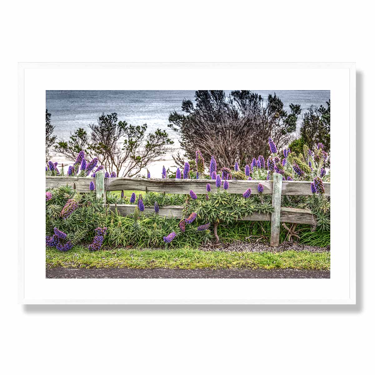 Split Rail Fence with Purple Flowers Art Print