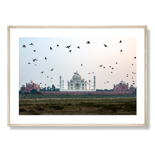 Taj Mahal from across the River Art Print