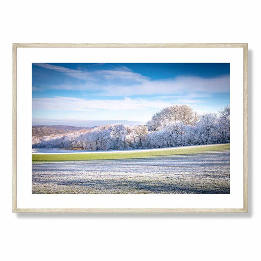 The Frosty Field Art Print